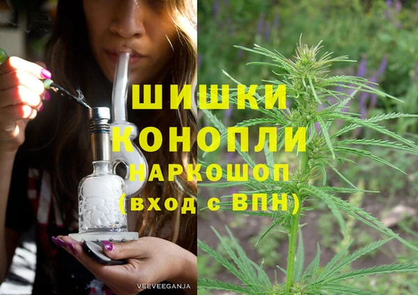 ешки Аркадак