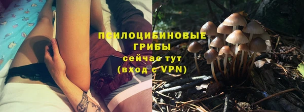 ешки Аркадак